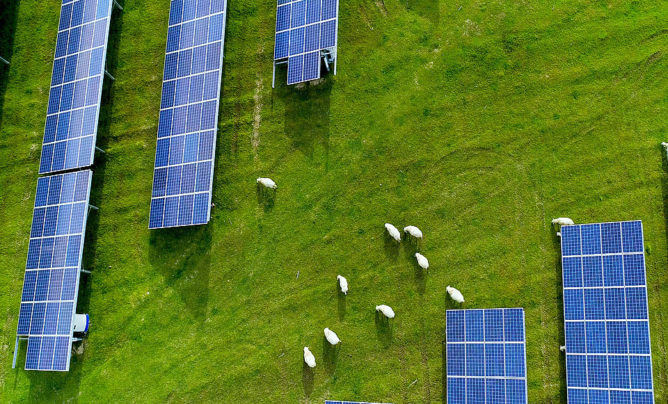 Agri-Photovoltaikanlage